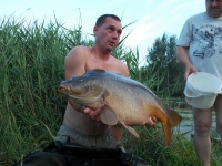 karp lowisko zgoda  zlowiony 02.07.12    16.9kg